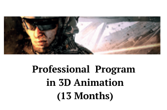 Professional program in 3D animation VFX