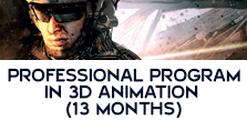 Professional program in 3D animation
